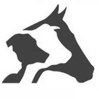 Bluffton Veterinary Services