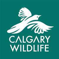 Calgary Wildlife Rehabilitation Society (CWRS)
