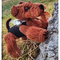 Airedale Terriers of Aireheart