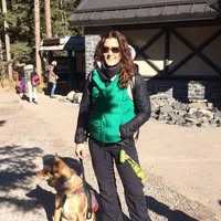The Cochrane Dog Walker