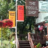 The Fossil Shop inc.