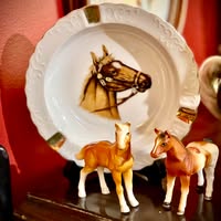 Foothills Special Needs Association for Parents and Siblings