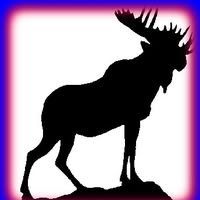Lethbridge Moose Lodge 792