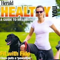 High Level Fitness