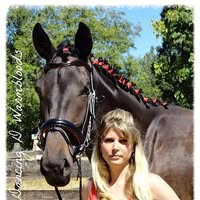 Dancing D Warmbloods