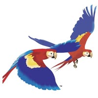 Penticton Ink-Jet Plus