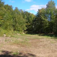 Albion Tirecraft Auto Centre