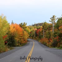 Bailey Photography