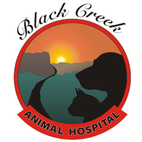 Black Creek Animal Hospital