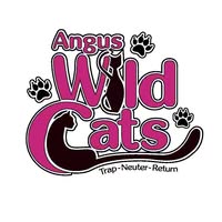Angus Wild Cats TNR