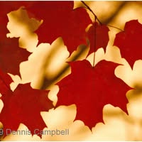 Campbell Photography