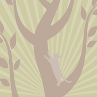 Guelph Vet - Park Avenue Veterinary Services