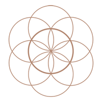 North Flow Yoga