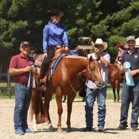 Rapley Show Horses