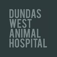 Dundas West Animal Hospital