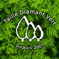 Actualités - Asbestos