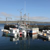 Bradore Bay