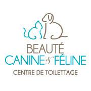 BCF Chicoutimi