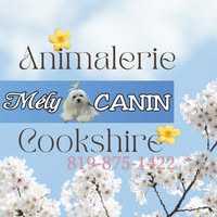 Mély-Canin