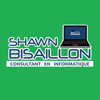 Shawn Bisaillon, Consultant en Informatique