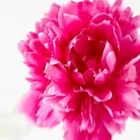Boutique De Fleurs Magog