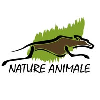 Nature Animale