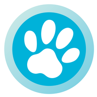 Bailey Blu Pet Boutique