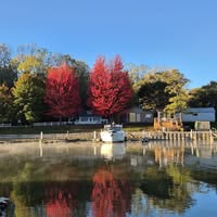 Comité logement Rimouski-Neigette