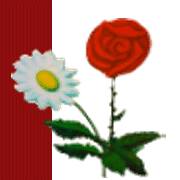 Camping de la Matanie 2015