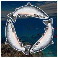 Poissonnerie Trois Pecheurs
