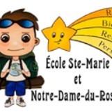 Karine Lévesque, Infographiste/graphiste