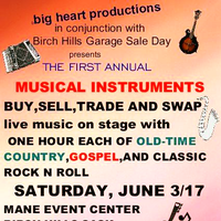 Big Heart Musical Instrument Swap and Live Stage Show