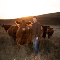 Dkf Red and Black Angus