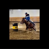 Rafter N Performance Horses